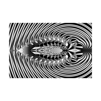 "Fractal Insect" Rolled Poster, Black and White Minimalistic Fractal Design